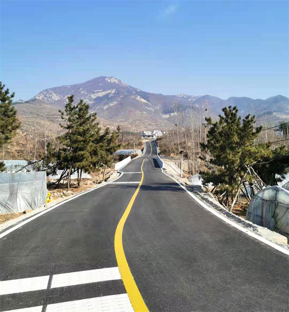 山东画报内容图片展示