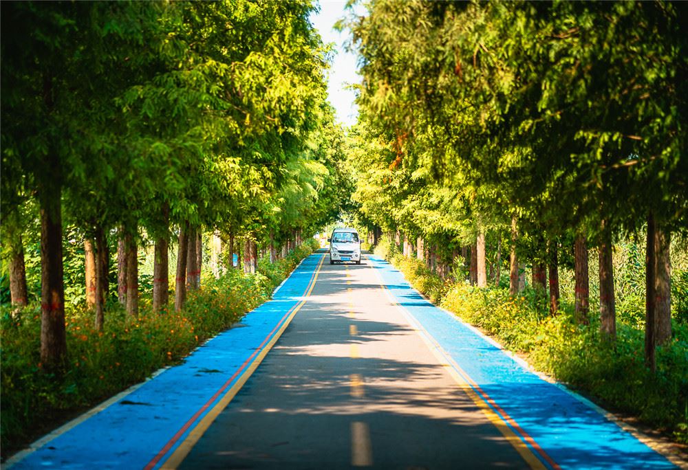 山东画报内容图片展示