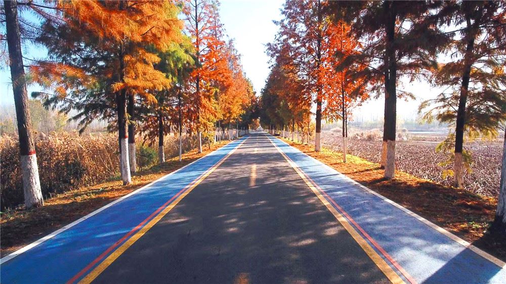 山东画报内容图片展示