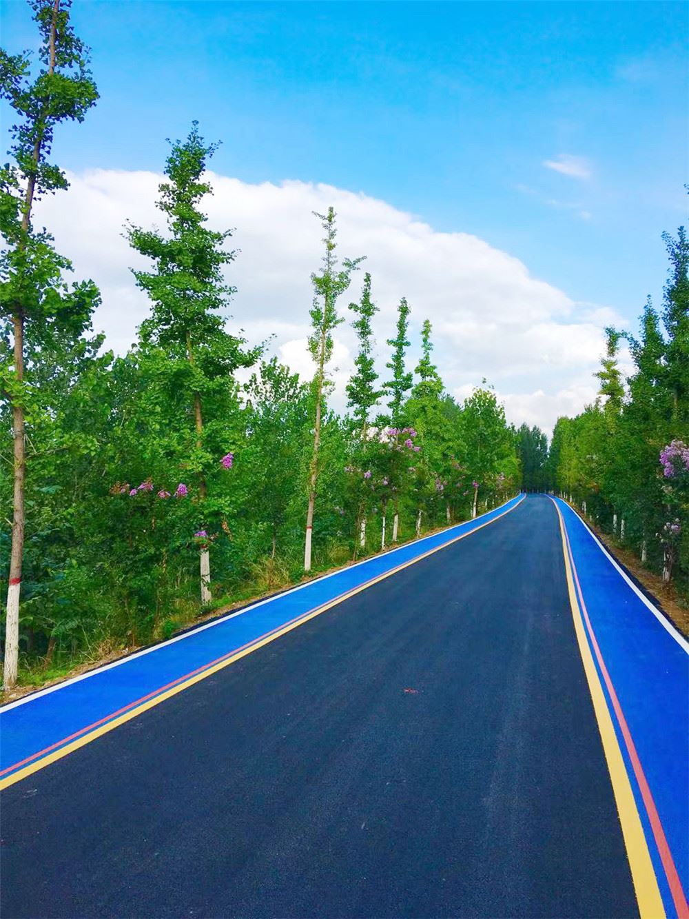 山东画报内容图片展示