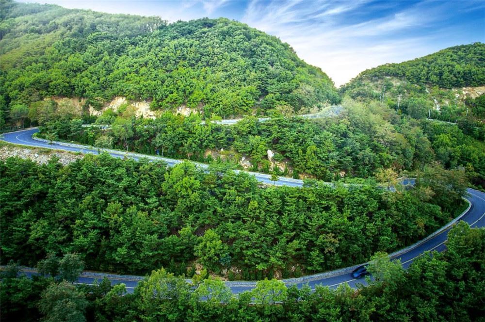 山东画报内容图片展示