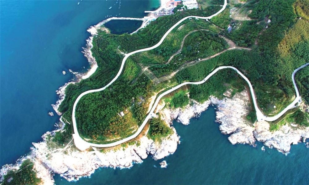 山东画报内容图片展示