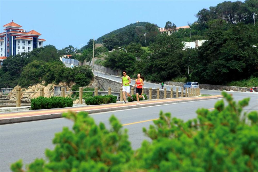 山东画报内容图片展示