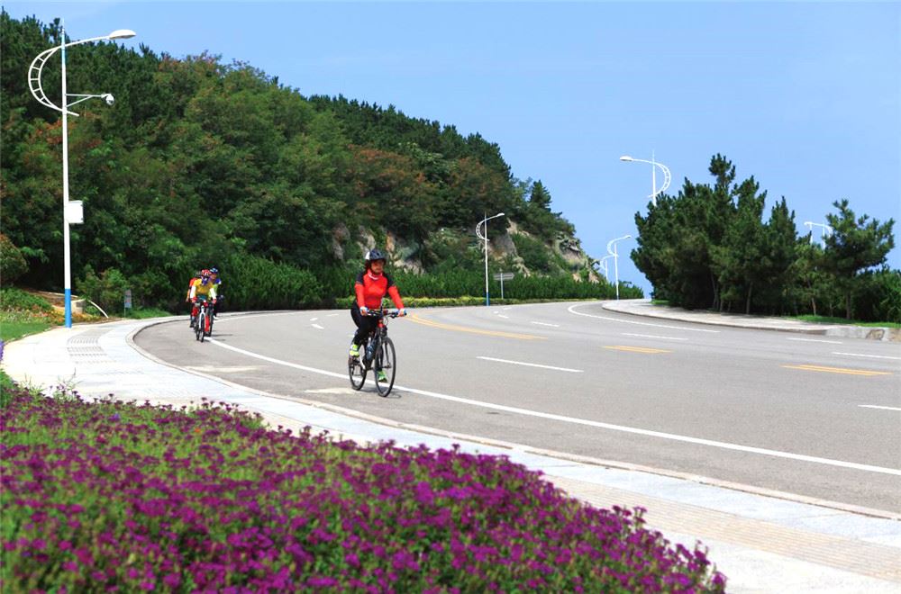 山东画报内容图片展示