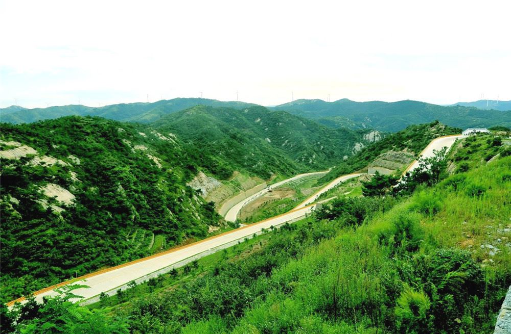 山东画报内容图片展示