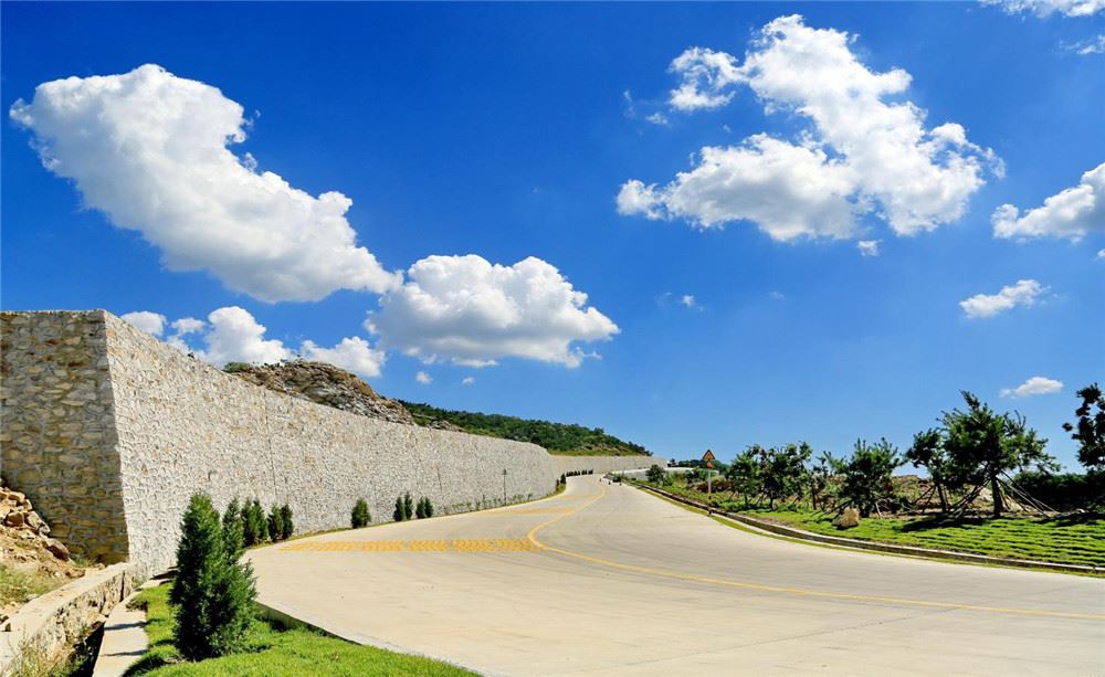 山东画报内容图片展示