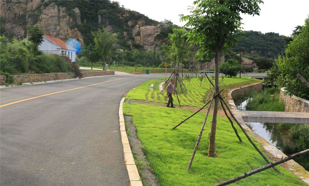 山东画报内容图片展示