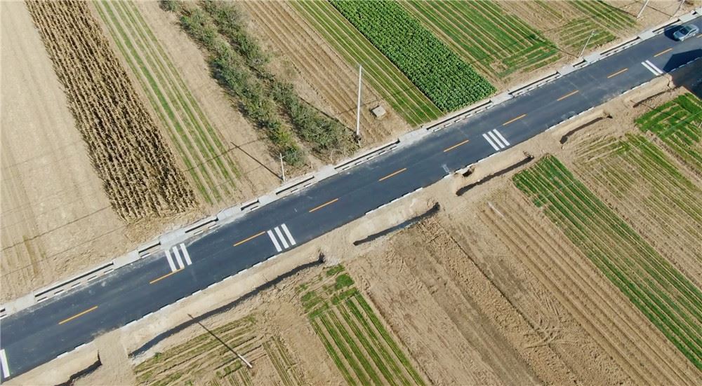 山东画报内容图片展示