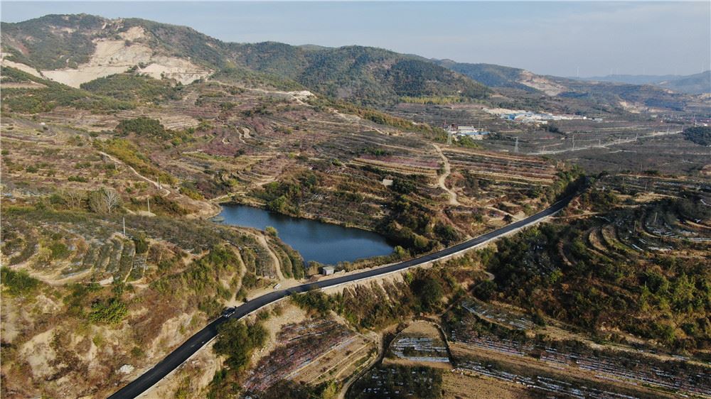 山东画报内容图片展示